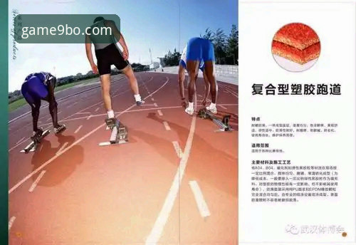 九博体育平台实用指南：官网网址获取与功能全解析