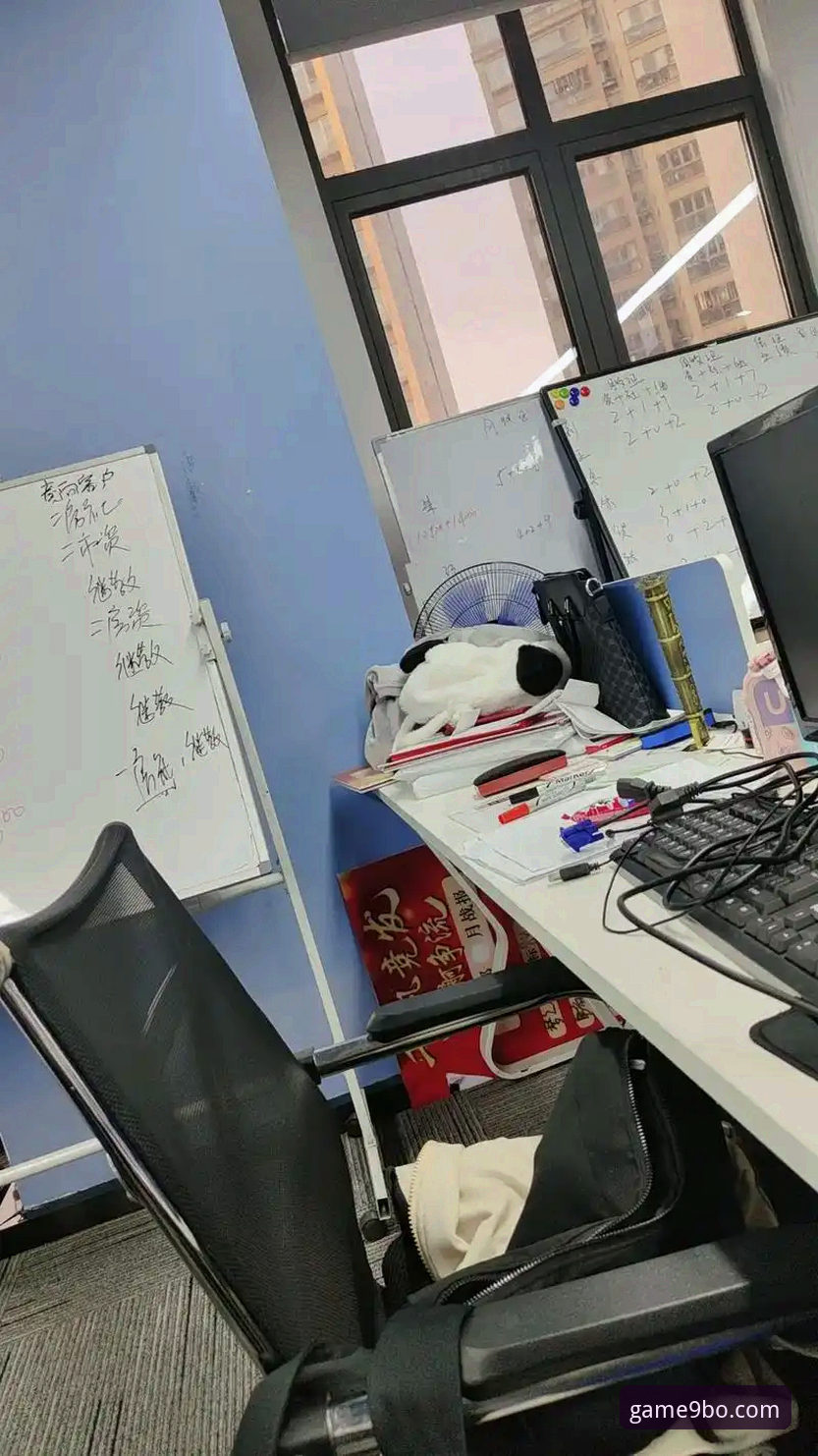 揭秘九博体育平台：注册背后的全新体验与功能升级真相